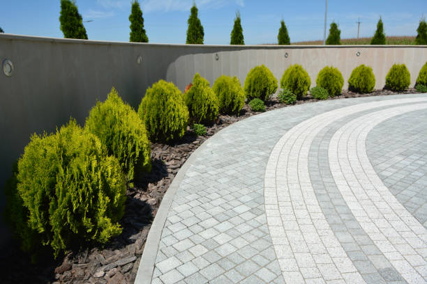 Best Concrete Paver Driveway  in Pemberwick, CT